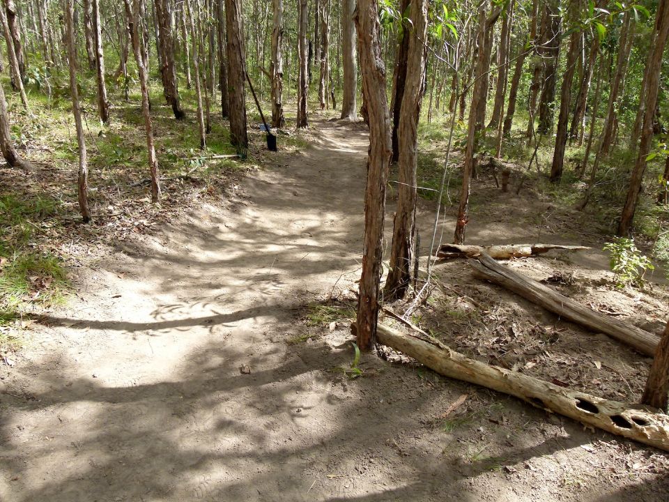 P1140019.jpg